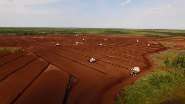 Des tracteurs dans un champ de tourbe.