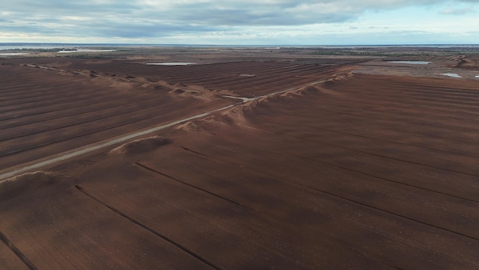 Du haut des airs, on voit comme un grand désert brun foncé.