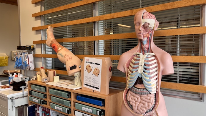 Dans les locaux du programme de soins infirmiers, au cégep de Sept-Îles.