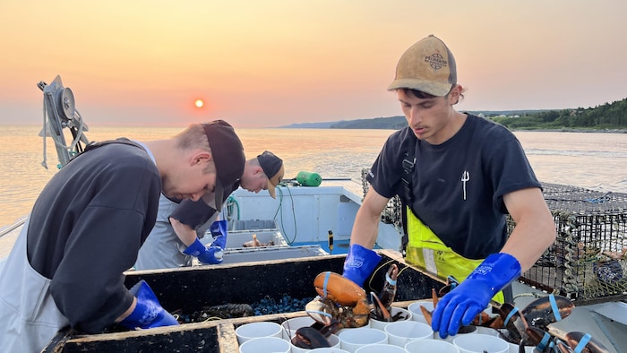William Dupuis et ses collègues pêcheurs au travail pendant que le soleil se lève.