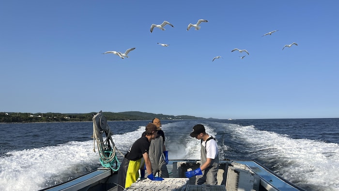 Trois pêcheurs sur le bateau en route vers le quai.