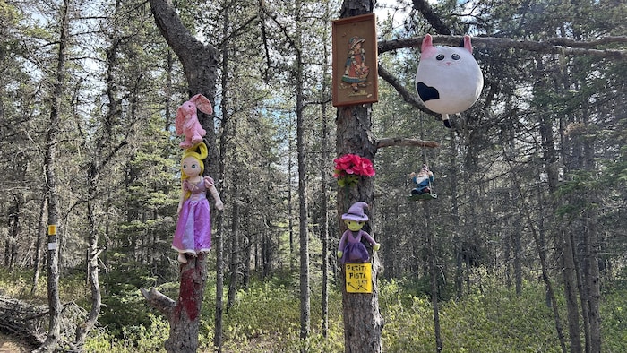 Des peluches accrochées aux arbres.