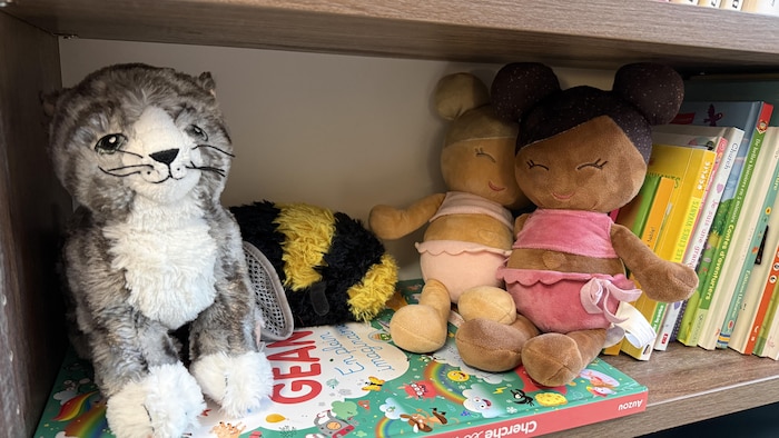 Des toutous et des livres pour enfants dans une étagère.
