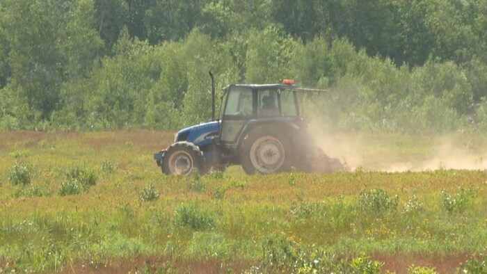 Un tracteur agricole dans un champ.