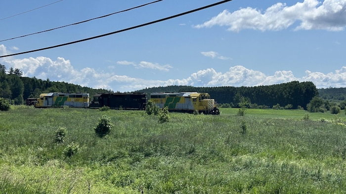 Un train dans un champ.