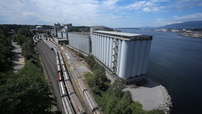 Plusieurs wagons de marchandises sont alignés sur des voies ferrées à l’extérieur du terminal céréalier Viterra Cascadia, à Vancouver.