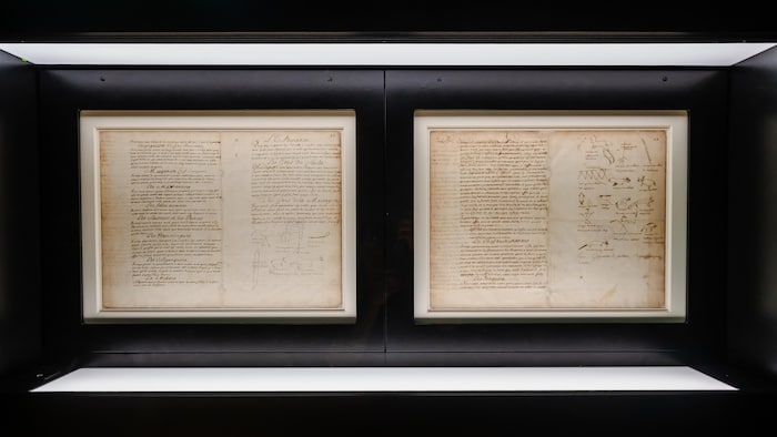 Deux feuillets anciens couverts d’une écriture manuscrite et de figures animales sont présentés côte à côte dans une vitrine éclairée.
