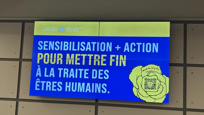 Des écrans faisant la promotion d'une initiative de sensibilisation en lien avec la traite des êtres humains.