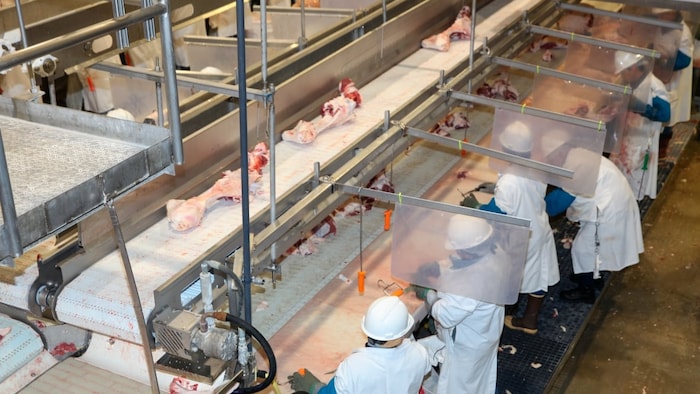 Une usine de transformation de viande.