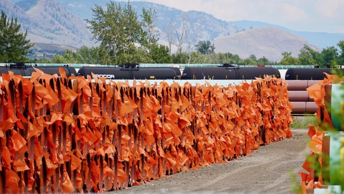 This 2019 file photo shows more than a thousand pipes stored in Kamloops, B.C., for construction of the Trans Mountain expansion. (Kyle Bakx/CBC)