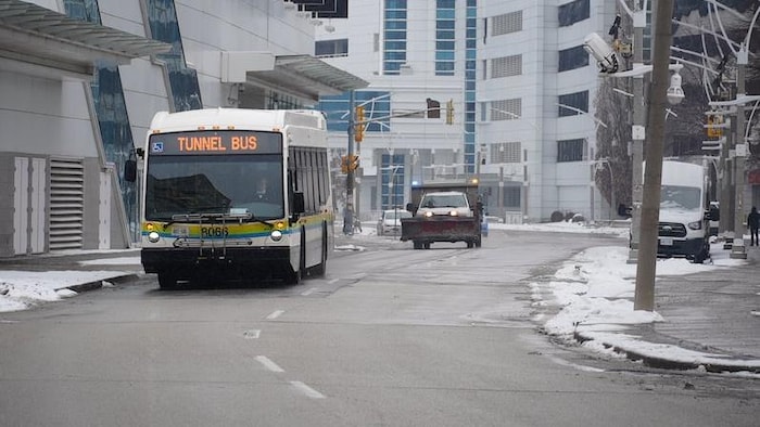Un autobus de Transit Windsor circulant sur une rue.