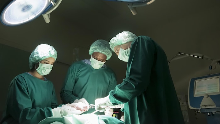 Des chirurgiens procèdent à une greffe cardiaque sur un patient.