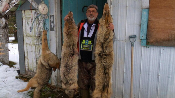 Un homme tient deux coyotes dans ses mains.