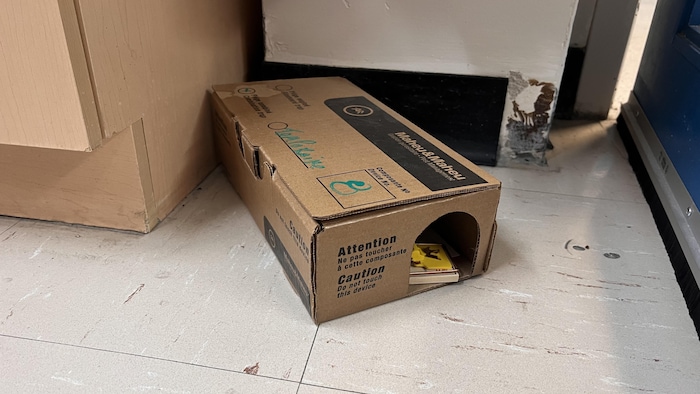Des trappes à souris sont installées en ce moment au bloc opératoire.
