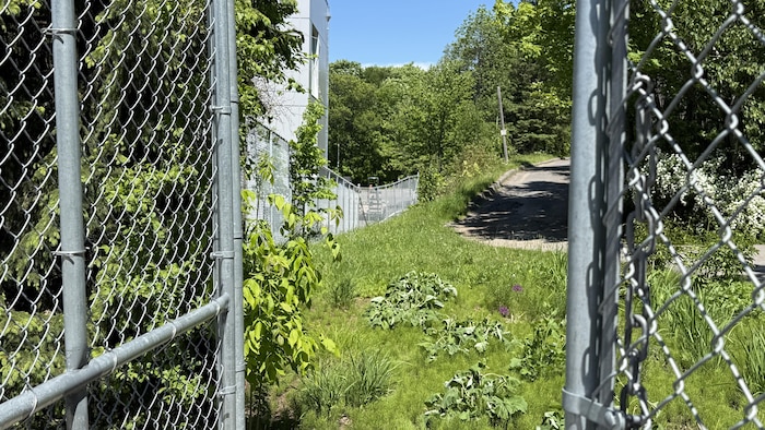 Une clôture à mailles de chaîne sur le site de l’Aquarium du Québec en été.
