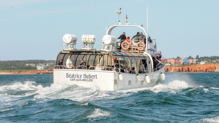 Un navire de petite taille, en mer avec quelques passagers à bord. En arrière-plan : la rive et des falaises de grès rouge.