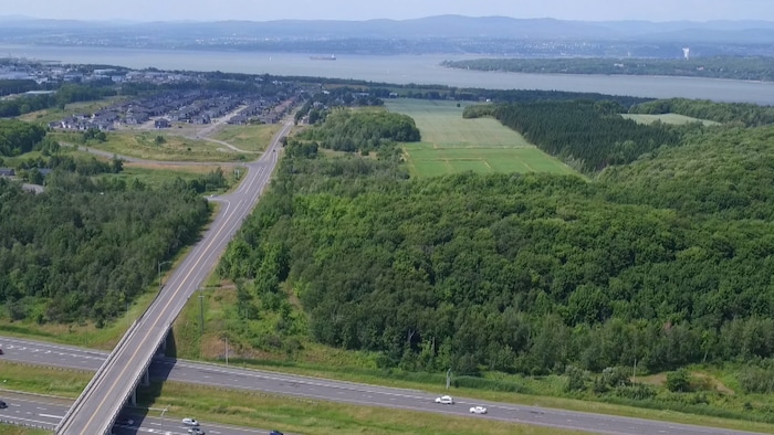 Image de drone de la route Lallemand à Lévis, l'été.