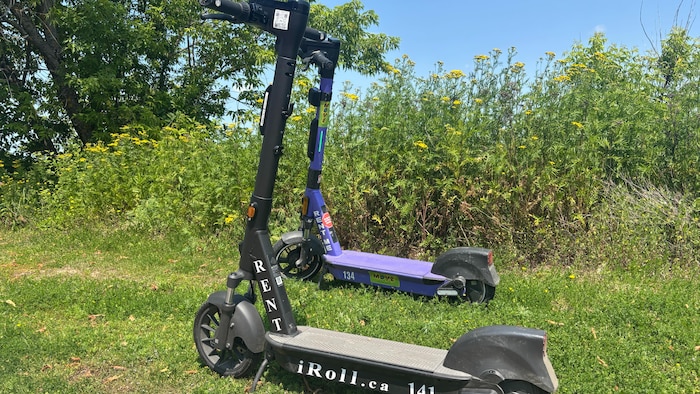 Deux trottinettes électriques en libre-service.