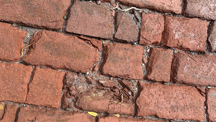 Des briques rouges de trottoir abimées par l'usure. 
