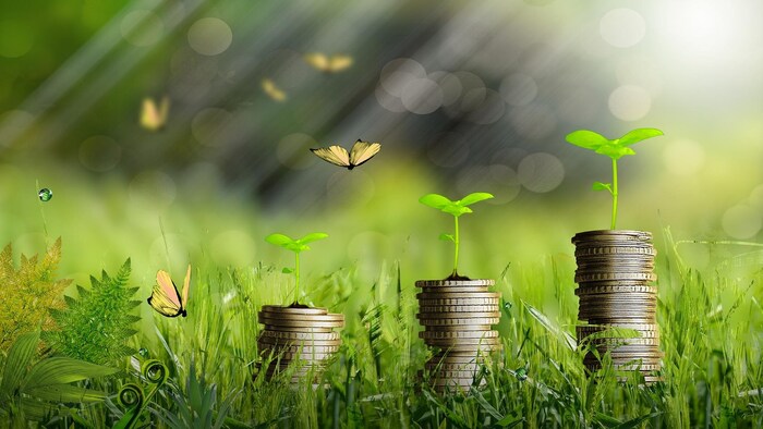 Des pièces de money dans un environnement extérieur avec des pousses de plantes et des papillons.
