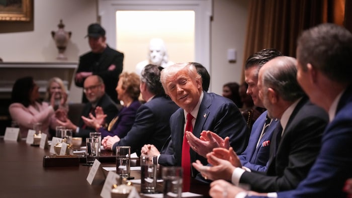 Donald Trump prononce un discours lors d'une réunion du cabinet à la Maison-Blanche.