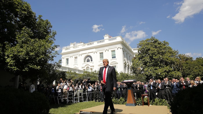Donald Trump dans la roseraie de la Maison-Blanche à Washington, le 1er juin 2017.