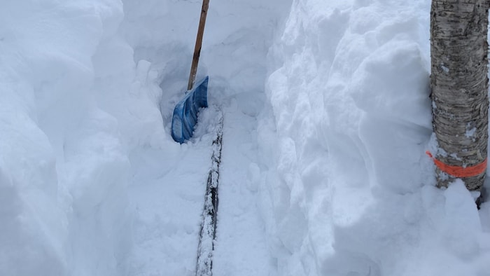 Une pelle dans un immense banc de neige où on peut apercevoir de la tubulure d'érablière.