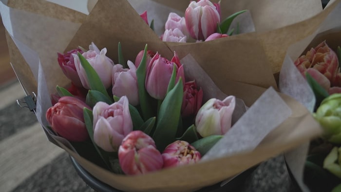Un bouquet de tulipes. 
