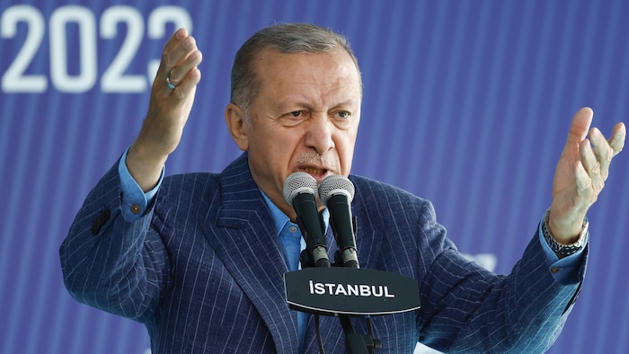 Recep Tayyip Erdogan lève les bras en l'air.