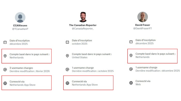 Capture d'écran des données de transparence des comptes X de The Canadian Politician, The Canadian Reporter et David Fraser.