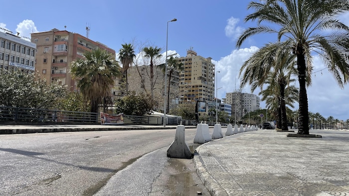Une rue déserte  bordée de palmiers et d'édifices. 