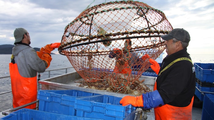Deux pêcheurs ramènent un filet de crabe sur un bateau.