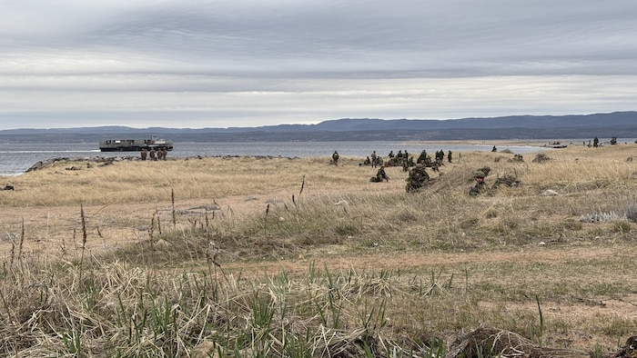 Des dizaines de militaires sont embusqués sur une plage.