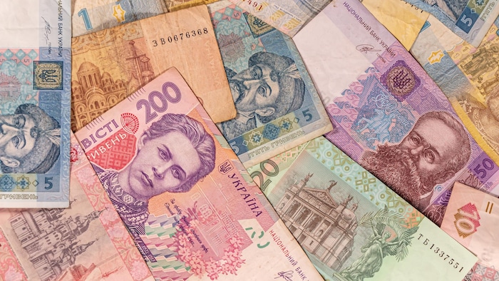Several hryvnia notes