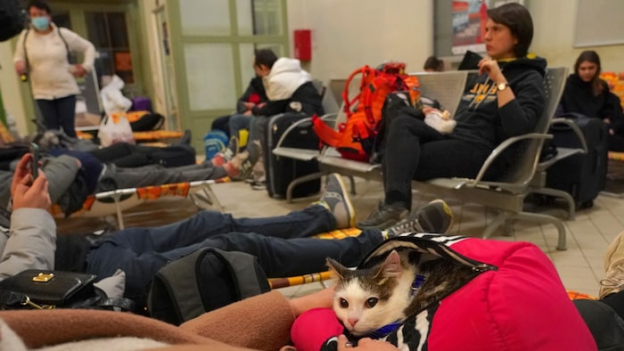 Une femme avec un chat dans un sac attend dans une gare.