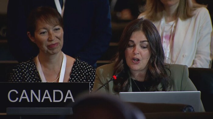 Meggie Richard, parle dans un micro devant les membres de l'UNESCO.