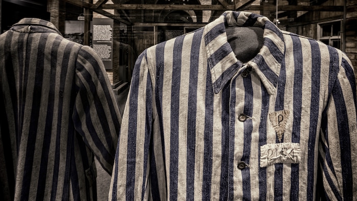 « Je suis allé dans les camps » : l’histoire d’Auschwitz racontée au