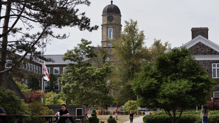 
Une photo du campus en été. Des gens marchent. Un homme est assis à une table à pique-nique.