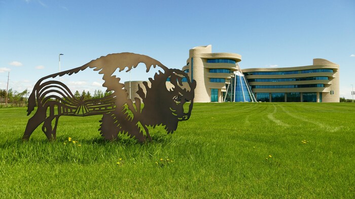 Une sculpture de bison en métal planté dans la pelouse, en avant-plan d'un édifice.