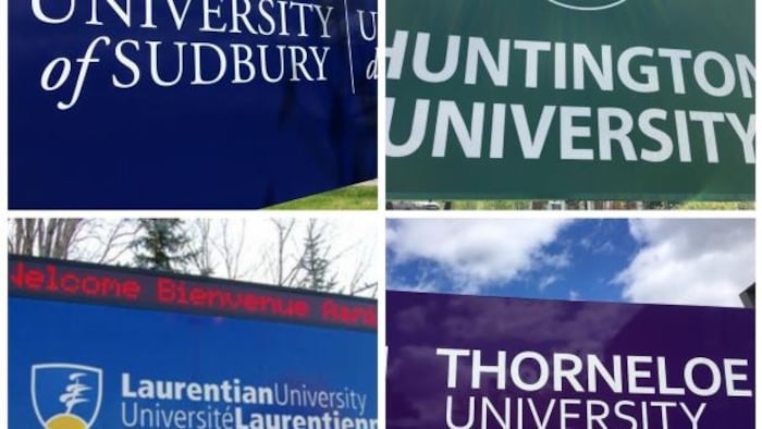 Les affiches de quatre universités.