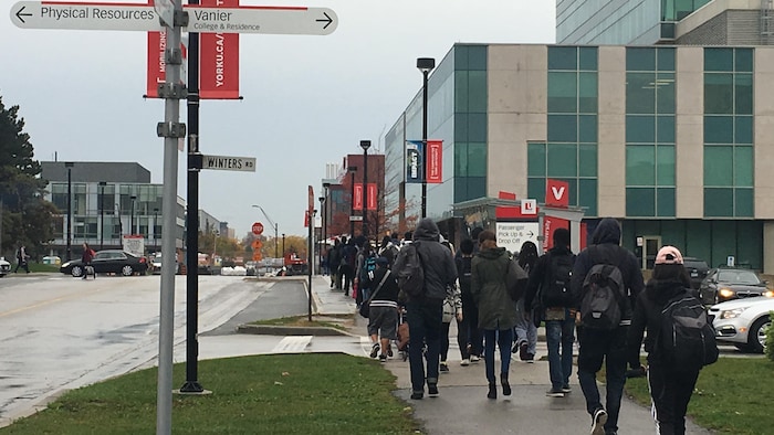 L'Université York à Toronto.