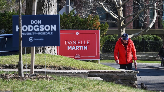 Un piéton promène son chien et passe devant des pancartes électorales libérale et conservatrice dans University–Rosedale.
