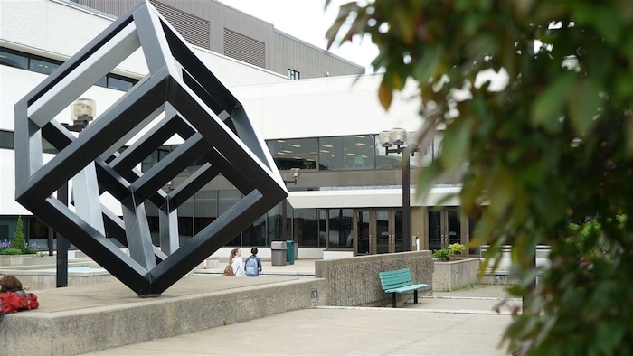 Les cubes devant l'université.