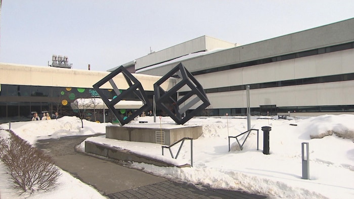 Les cubes dehors, devant l'établissement universitaire.