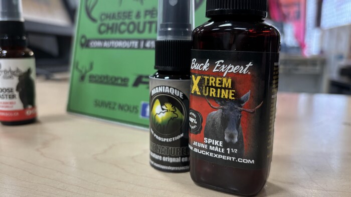 Cette photo présente des flacons de spray d'urine synthétique pour la chasse, notamment de la marque Buck Expert. Les bouteilles, illustrées d'orignaux, sont posées sur un comptoir devant une affiche verte du magasin « Chasse & Pêche Chicoutimi ».