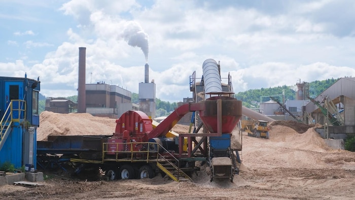 La transformation du bois à l'extérieur de l'usine. Une grande machine détruit les morceaux de bois. 