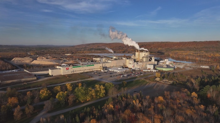 Une photo aérienne d'une usine encerclée d'arbres aux couleurs automnales.