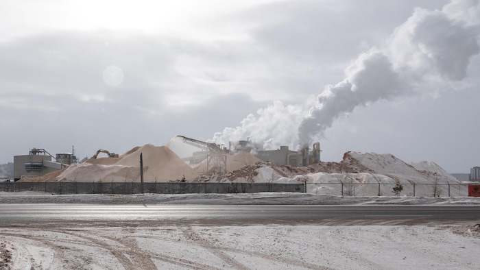 Une pelle mécanique travaille à étendre les copeaux dans une montagne de copeaux de bois pendant que la machine continue d'en ajouter. L'usine créée un nuage de condensation dans le ciel.