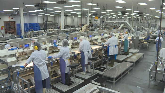 Des travailleurs dans une usine de transformation de poisson.