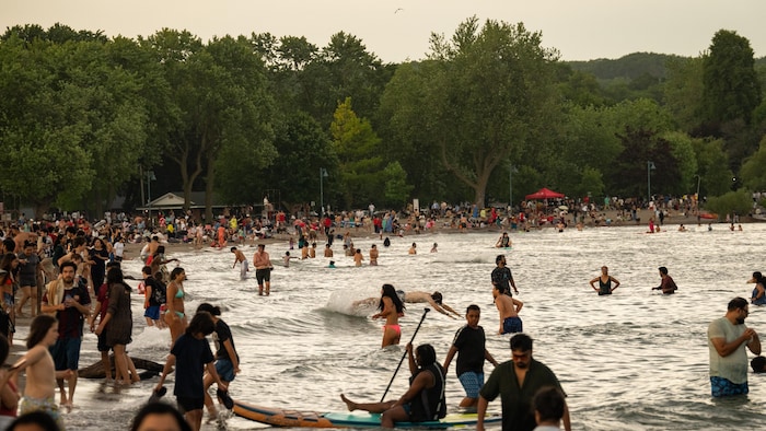 Une plage bondée avec des baigneurs et un kayakiste.